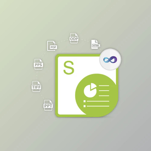 v25.3.0 Aspose.Slides for .NET 本 支持多版