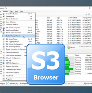 Browser NetSDK Software v12.2.9 Pro
