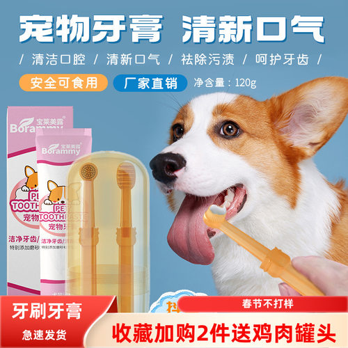 宠物猫咪狗狗牙刷牙膏套装