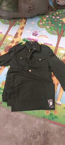 二手冬款加厚松枝绿色立领中山装新款