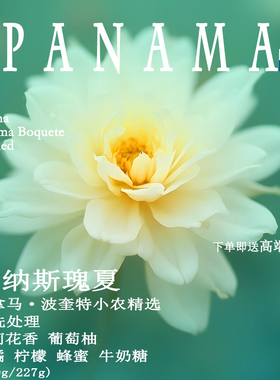 巴拿马波奎特Boquete小农精选维纳斯瑰夏水洗处理手冲单品咖啡豆