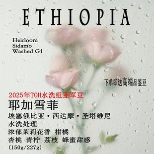 埃塞西达摩圣塔维尼耶加雪菲水洗手冲精品咖啡豆 2025年TOH亚军豆
