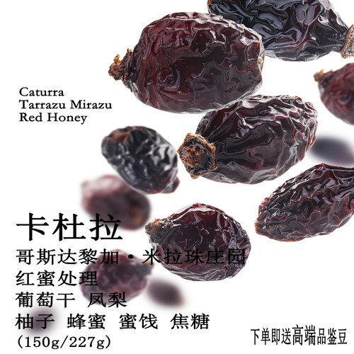 哥斯达黎加卡杜拉红蜜手冲咖啡豆
