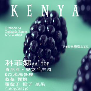 肯尼亚奥克兰庄园科菲娜AA TOP K72水洗处理手冲单品咖啡豆蓝莓味