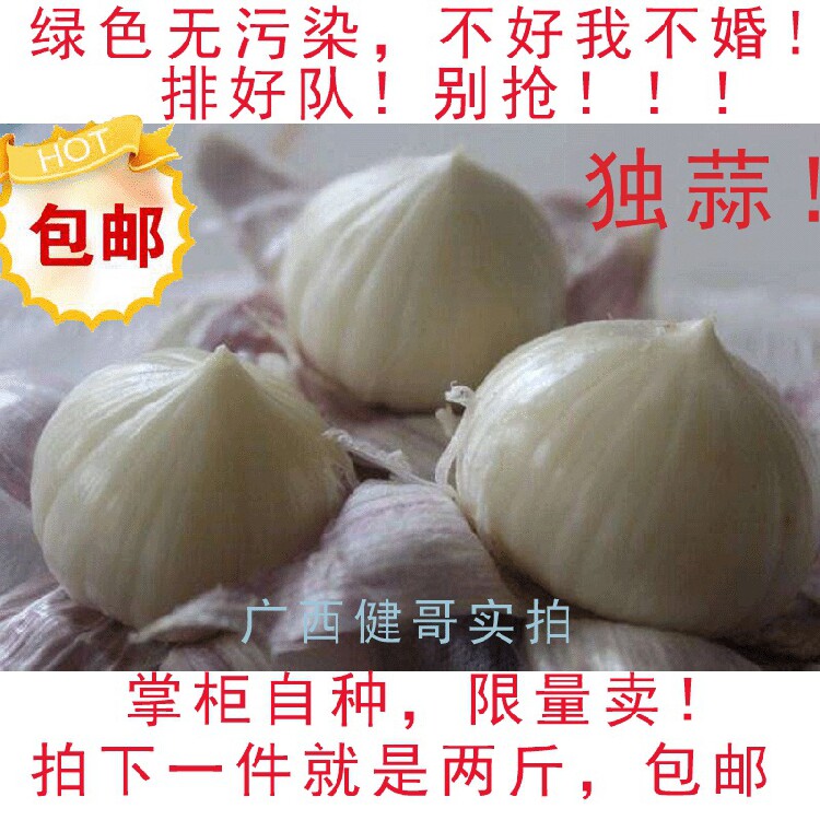 广西农家自种蒜头独蒜头紫皮大蒜其它