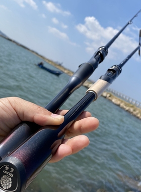 尾崎/路之巅峯 一本半进口全富士SIC虫竿L/ML调1.95-2.04米路亚竿