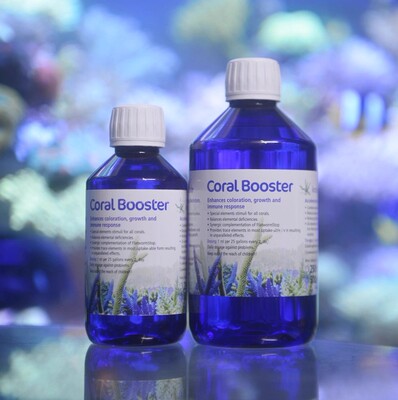 ZEO珊瑚助长素帮助快速生长