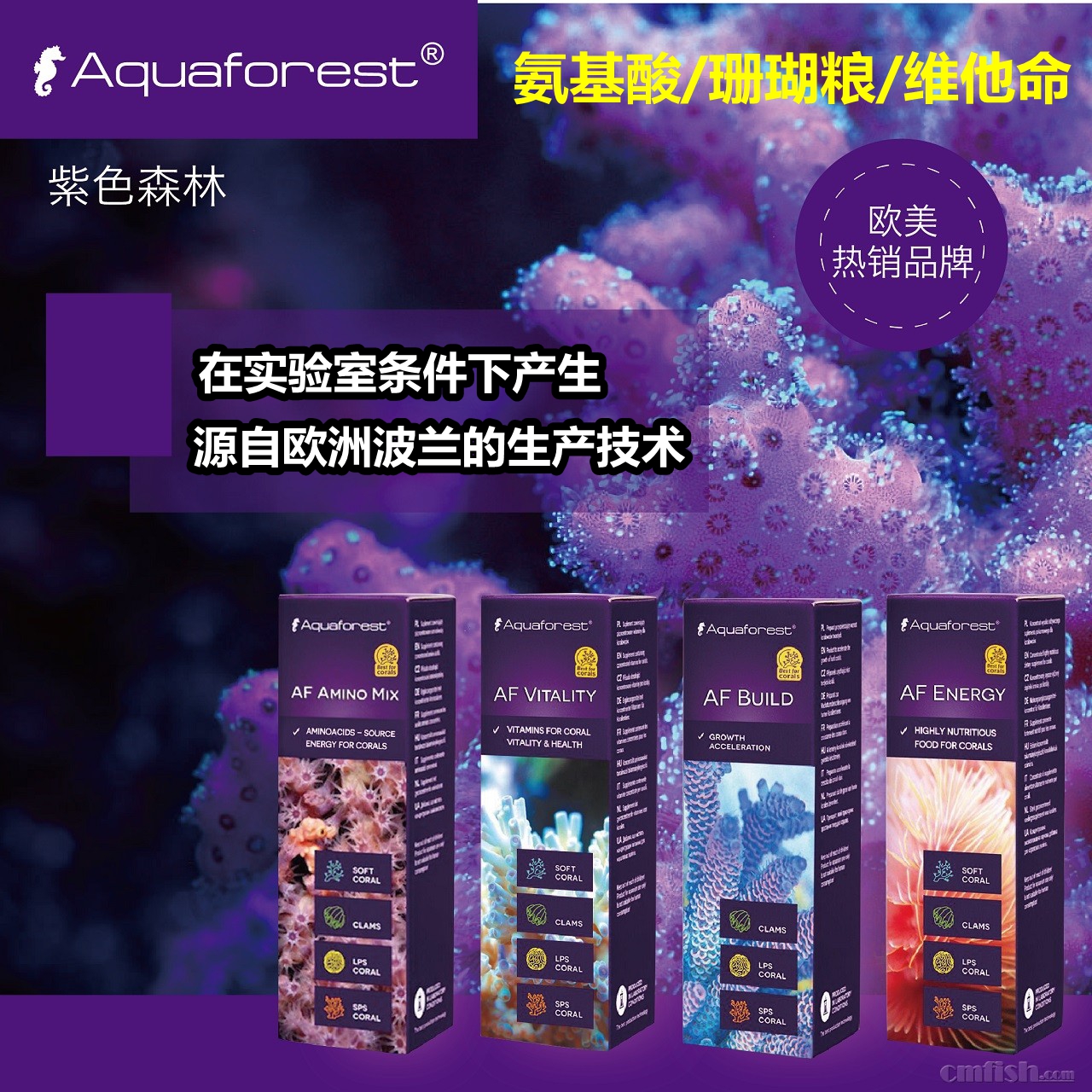 紫色森林aquaforest海水珊瑚氨基酸维他命促进生长加营珊瑚粮