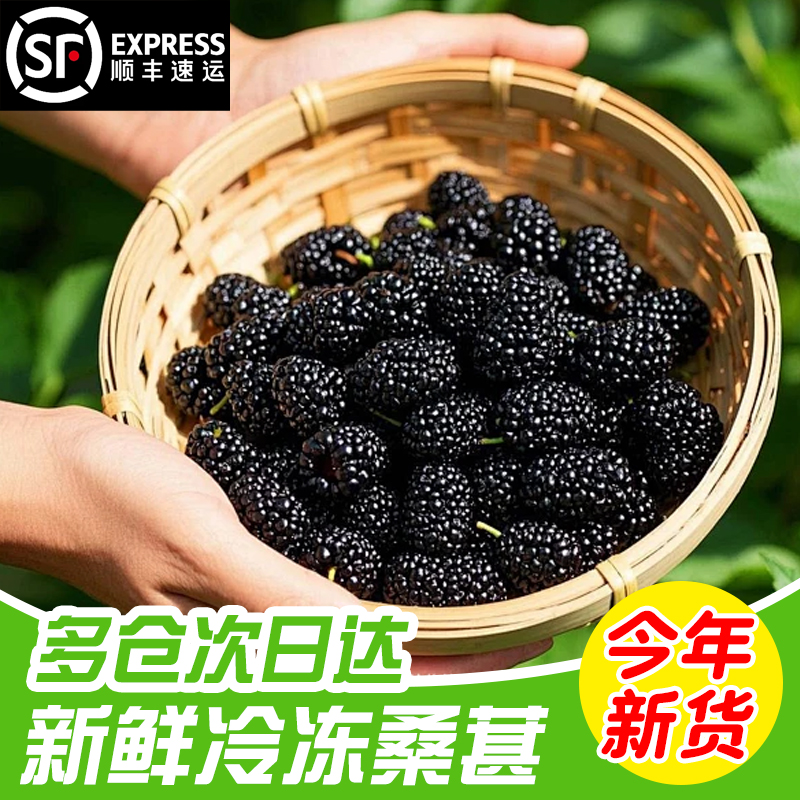新鲜水果冷冻桑葚速冻鲜桑椹果