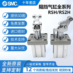 SMC阻挡气缸RS2H50-30DL/DM/BL/TL/TM-D/RSA50-30DL/DM/TM-D-2700