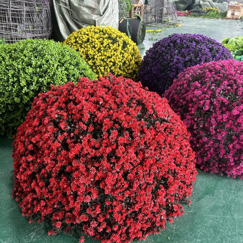 户外绿植井盖遮挡装饰品绿植球仿