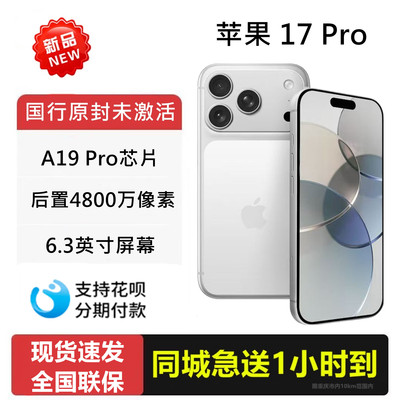 重庆闪送苹果17Pro国行手机