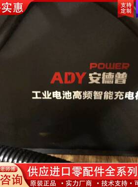 议价库存未使用ADY 安德普 工业电池高频智能充电机 林德