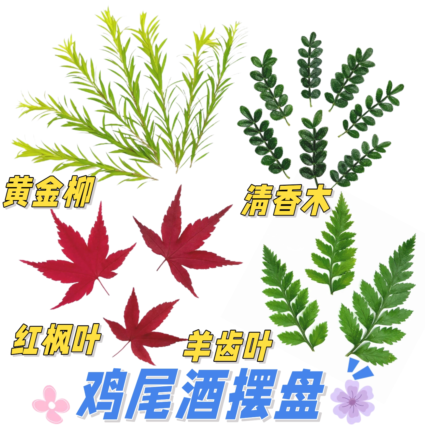 鸡尾酒摆盘装饰花草植物清香木叶子黄金柳芽羊齿叶真空包装红枫叶图片