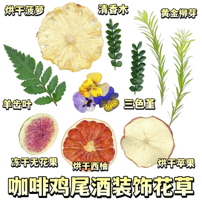 鸡尾酒咖啡饮品装饰烘干菠萝西柚新鲜花草三色堇清香木黄金柳芽