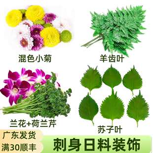 酒店餐饮摆盘装饰花草新鲜杨兰花荷兰芹日料刺身海鲜三文鱼点缀叶