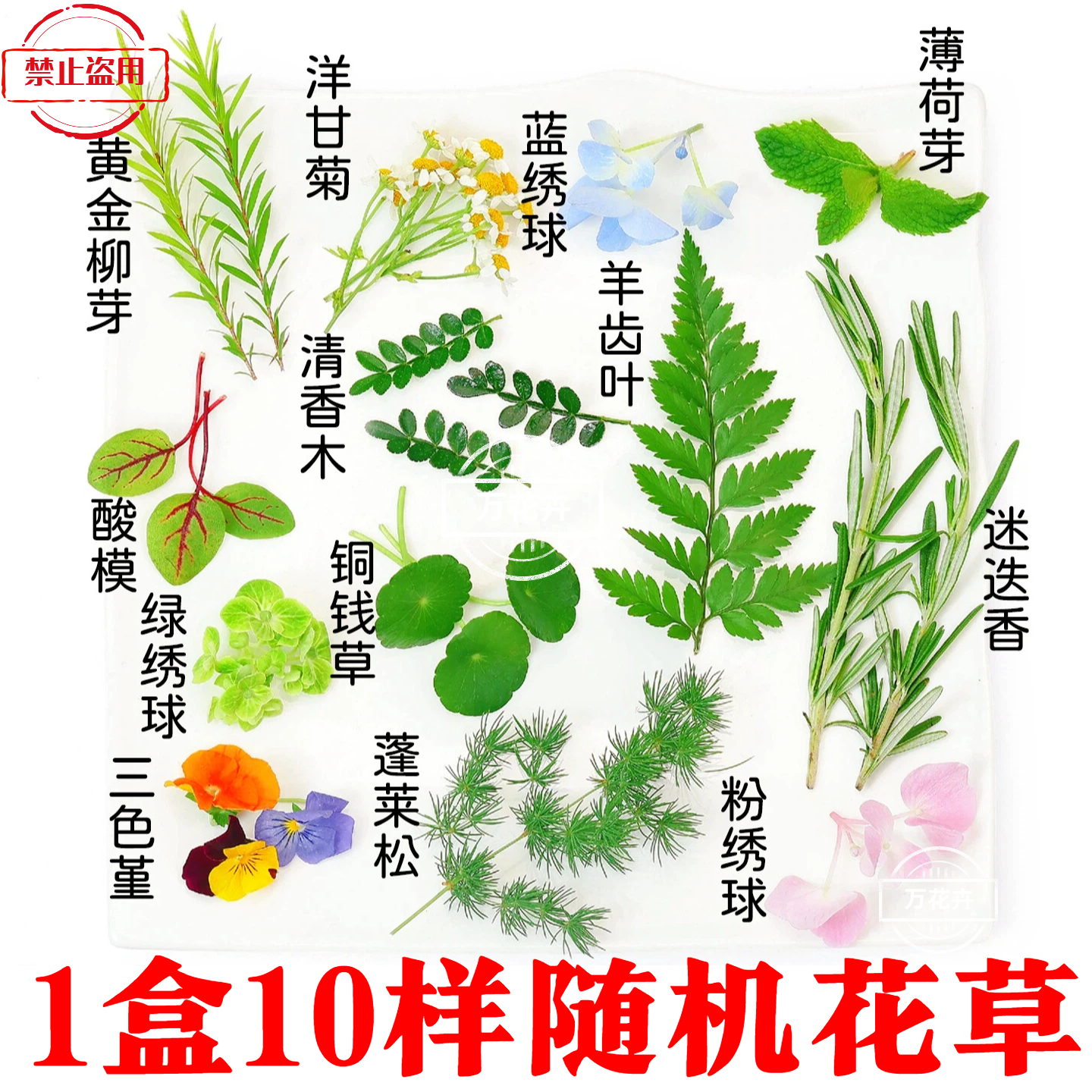 食品咖啡鸡尾酒调酒蛋糕烘焙装饰酒店试菜摆盘花草清香木三色堇