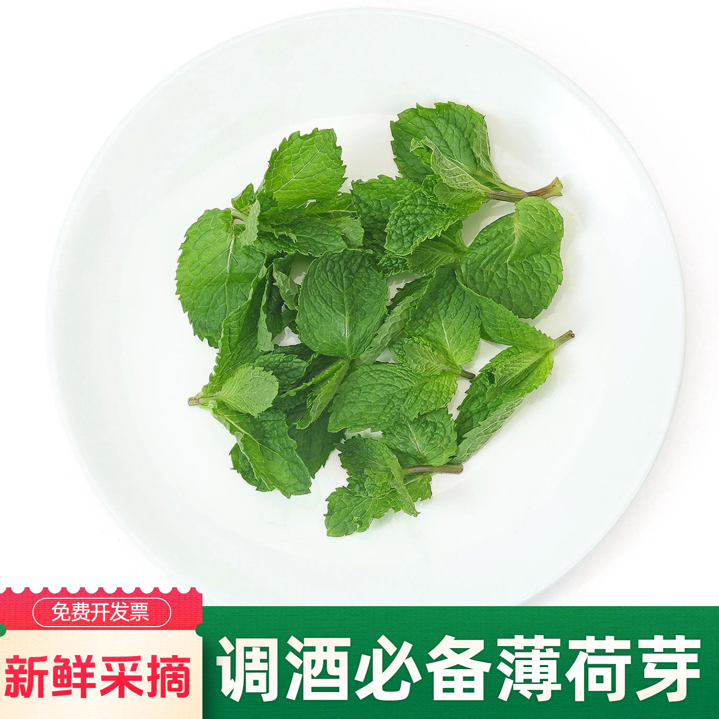 酒吧鸡尾酒莫吉托调酒点缀食用新鲜薄荷芽气泡水烘焙饮品装饰绿植