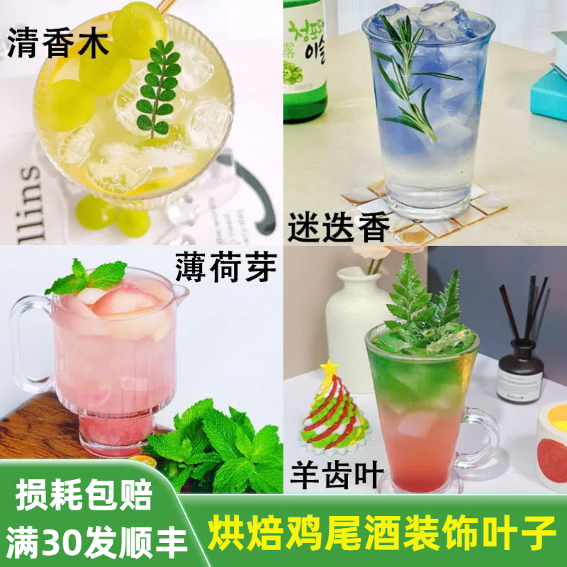 新鲜清香木迷迭香薄荷芽饮品调酒蛋糕甜品装饰西餐厅摆盘点缀花草