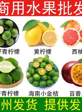 商用奶茶店鸡尾酒冷饮新鲜香水柠檬黄柠檬西柚百香果海南小金桔