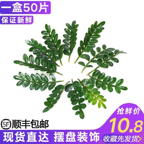 提拉米苏清香木叶子摆盘装饰