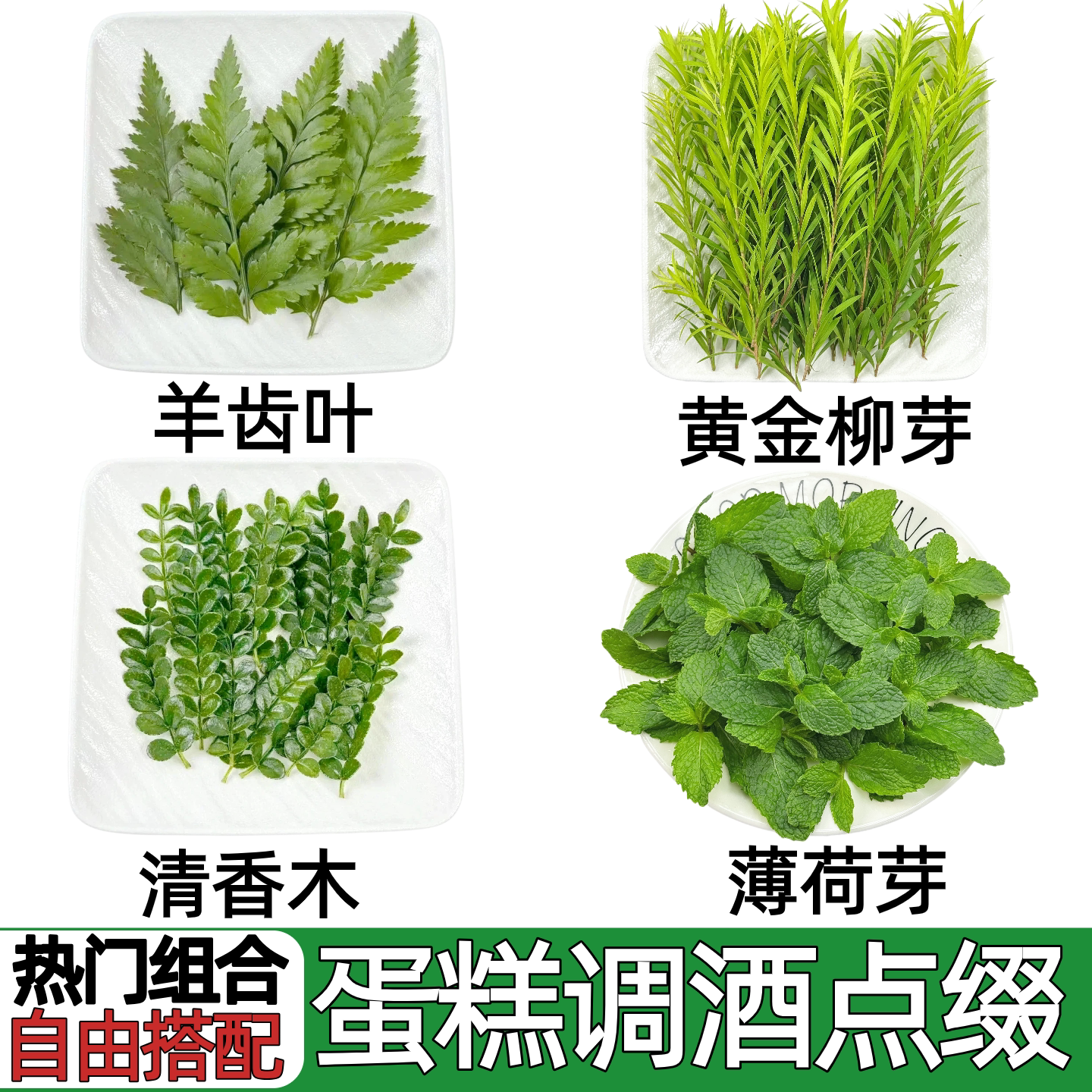 新鲜花草组合羊齿叶清香木黄金柳芽薄荷蛋糕甜品点缀调酒摆盘装饰