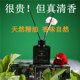 芭缇颖栀子花天然香薰精油室内持久家用酒店玫瑰清新空气家用摆件