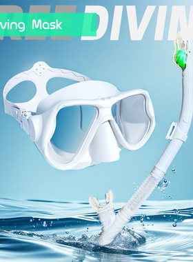成人男女潜水镜浮潜近视面罩护鼻防漏水肺全干式呼吸管三宝套装备