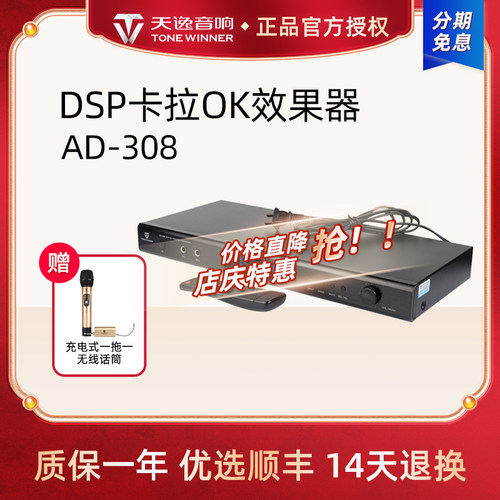 Winner/天逸专业卡拉ok混响器