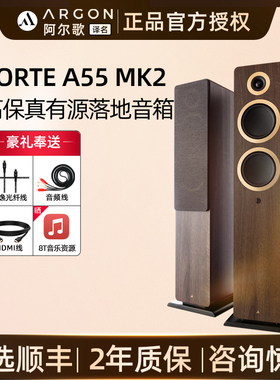 ARGON AUDIO阿尔歌FORTE A55 MK2高保真蓝牙有源书架音箱hifi音响
