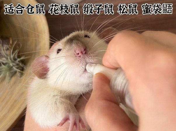 手养喂奶喂药器奶瓶仓鼠金丝熊花枝鼠松鼠蜜袋鼯幼崽躺手小宠用品