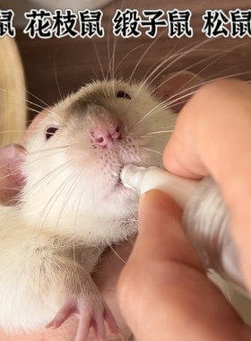 手养喂奶喂药器奶瓶仓鼠金丝熊花枝鼠松鼠蜜袋鼯幼崽躺手小宠用品