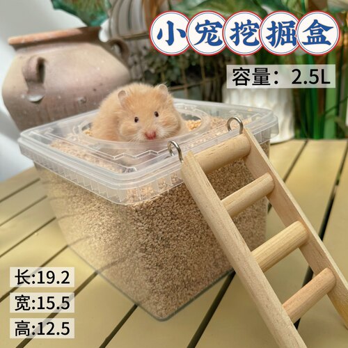 超大透明！厕所金丝熊仓鼠缎子鼠挖掘盒浴室科养玩具天然无尘打洞
