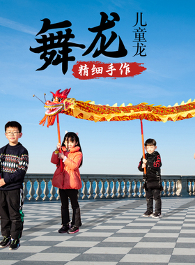 舞龙表演儿童幼儿园龙舞蹈演出道具小学生运动会过年广场舞龙舞狮
