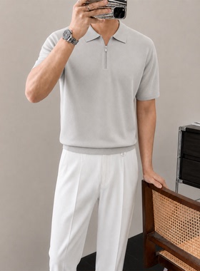 浅灰色拉链 polo衫男短袖轻熟风针织上衣夏季通勤透气抗皱百搭T恤