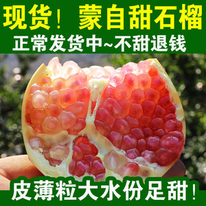 新鲜安徽怀远特产软籽甜石榴