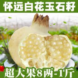【产地直发】正宗安徽特产怀远石榴白花玉石籽三白石榴整箱装包邮