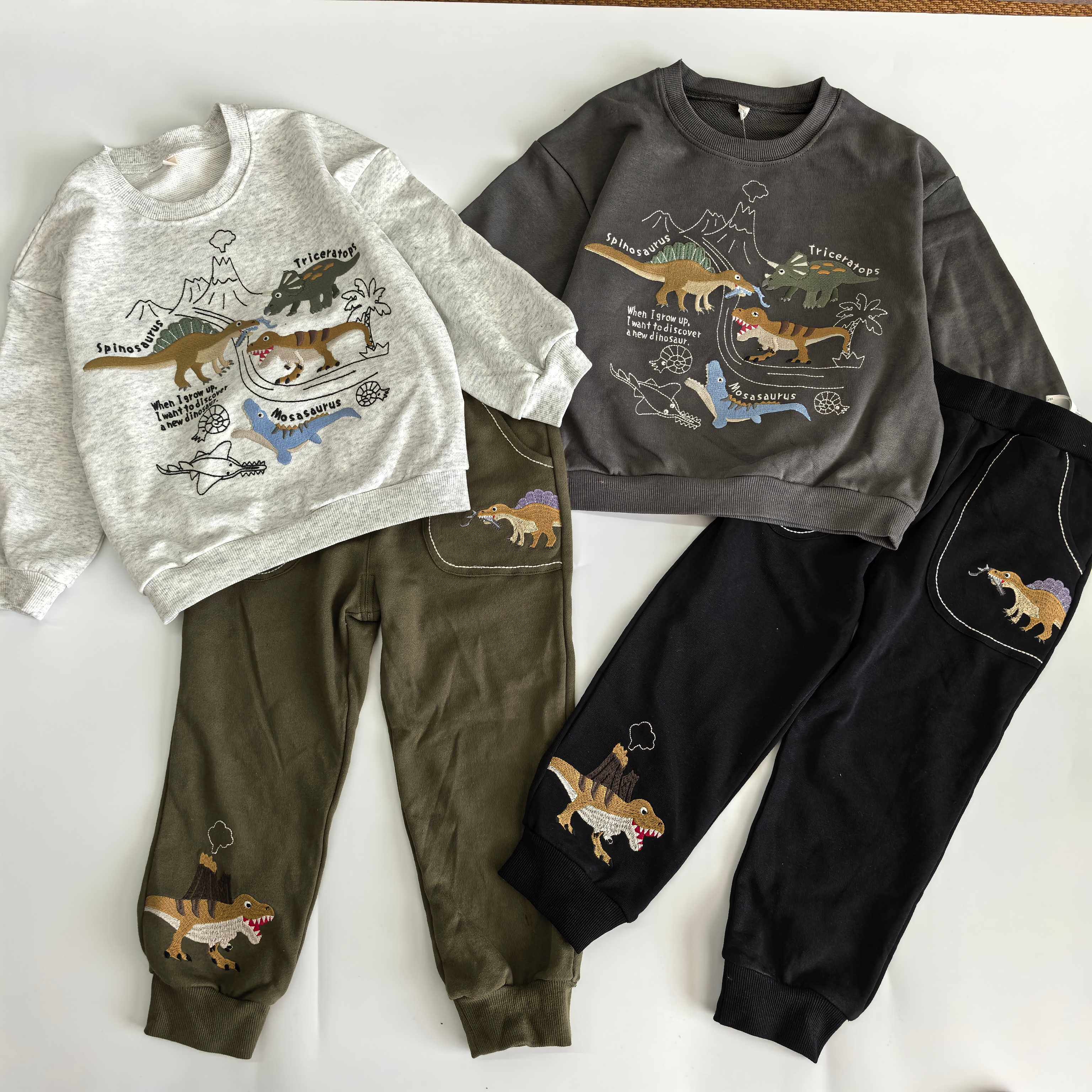0665 80 90 95 110cm日单码春秋 纯棉毛圈 男童恐龙刺绣 卫衣卫裤