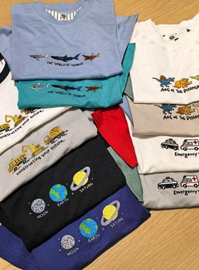 0646 100 110 120cm 日单 夏款纯棉 男童刺绣小图 短袖T恤衫 宽松