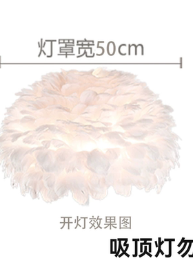卧室羽毛少女心ins结婚浪漫台灯