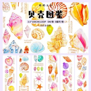 【醒醒文创】第八弹贝壳图鉴轻复古盐系海糖果色贝壳模切胶带分装