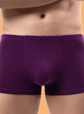 男士内裤透气纯棉短裤紫色四角裤本命年大红色属马年男式平角裤头