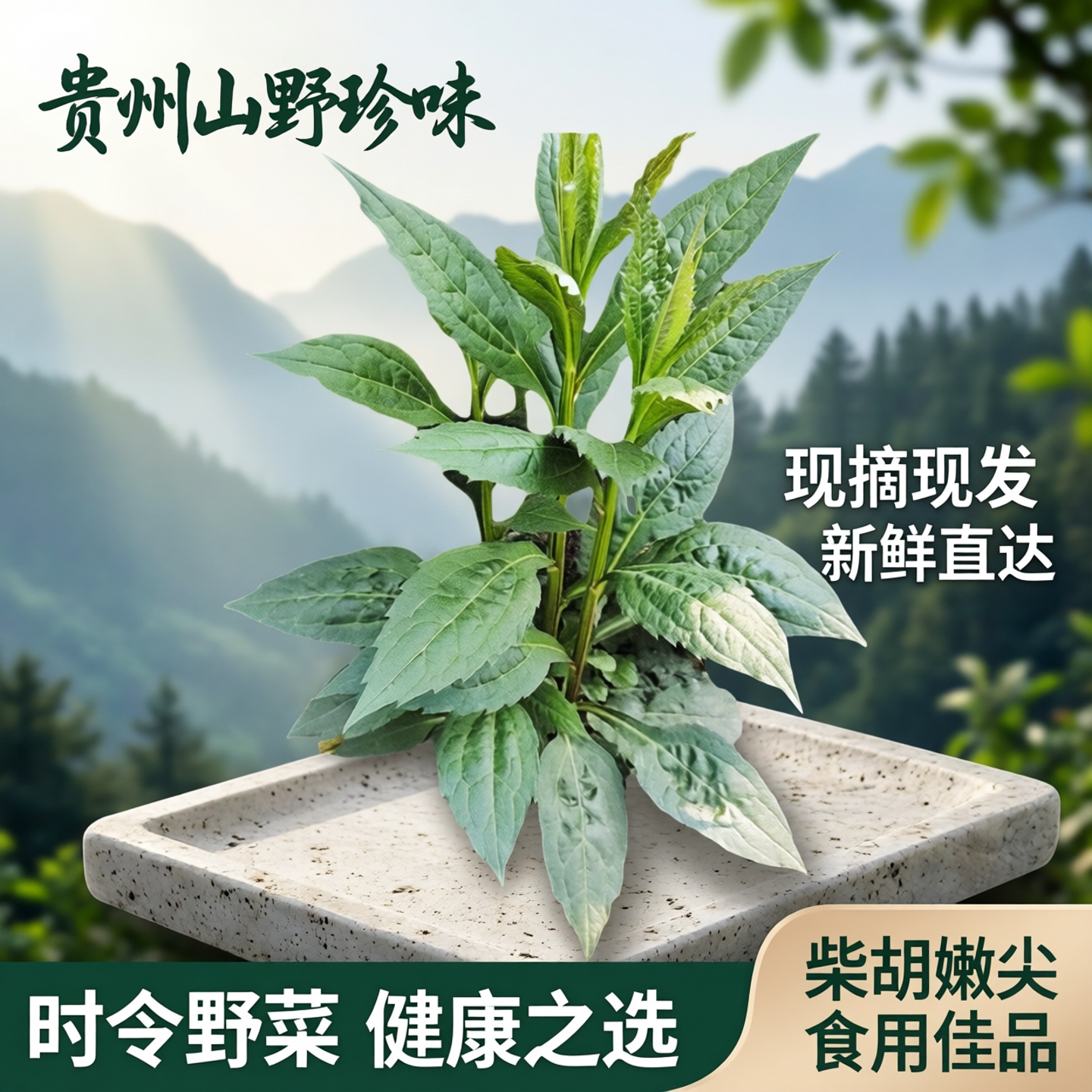贵州野菜柴胡嫩尖 大柴胡嫩尖 新鲜植物时令蔬菜食用美食现摘现发