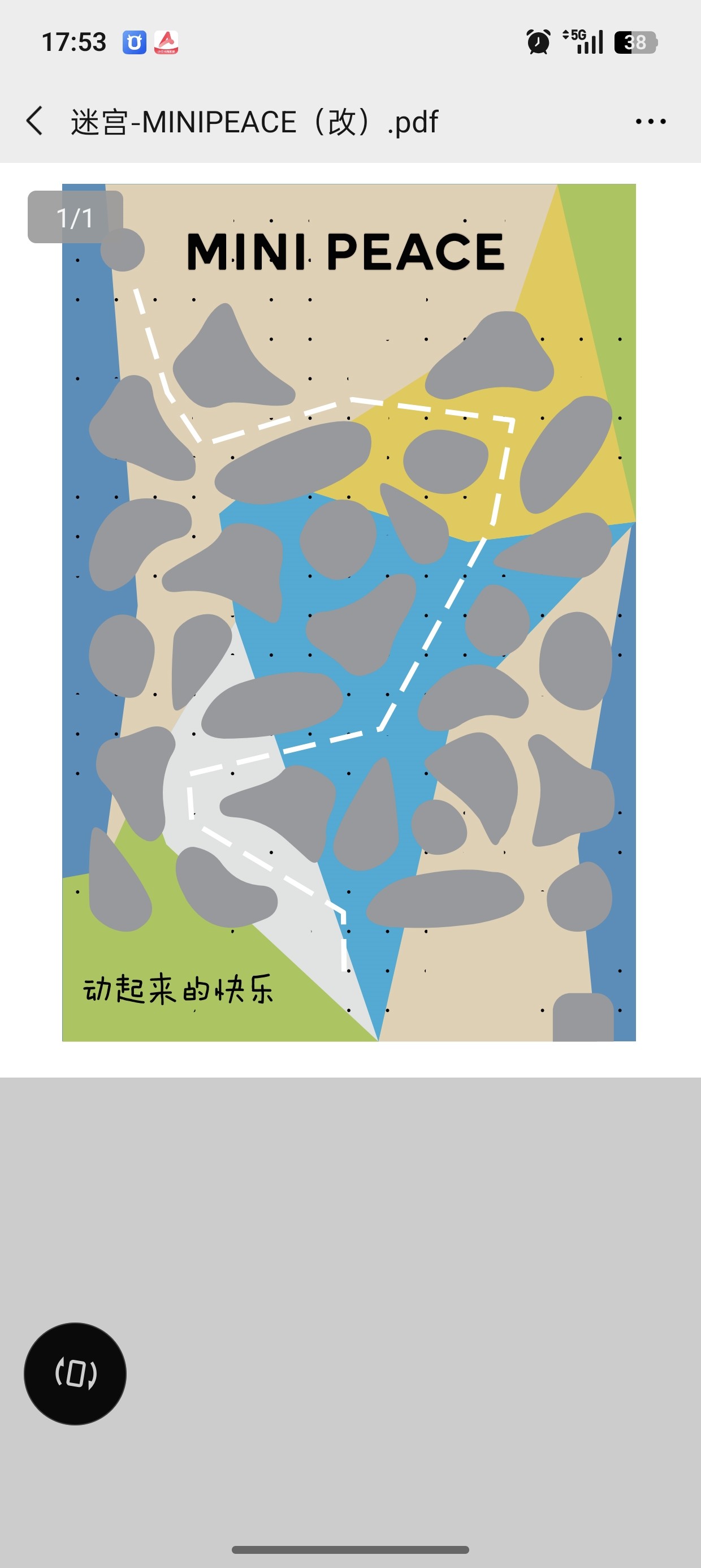 客户定制图案，产品160-80的迷宫滚球