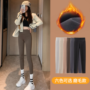 薄绒鲨鱼裤女外穿紧身打底裤高腰收腹提臀瑜伽芭比裤秋冬加绒加厚