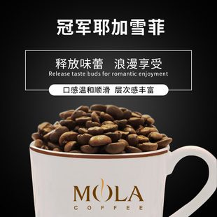 冠军耶加雪菲埃塞俄比亚手冲单品阿拉比卡咖啡豆磨纯黑咖啡粉227g