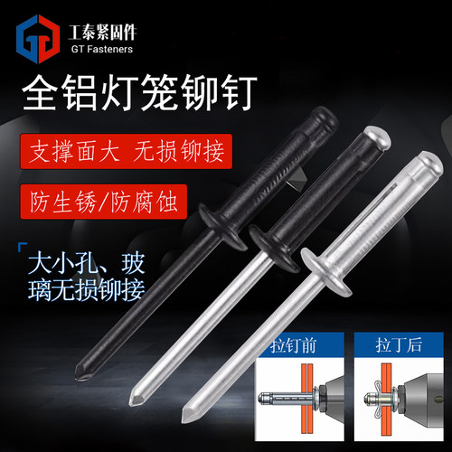 拉钉大帽汽车保险杠灯笼抽芯铆钉