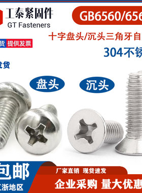 SUS304不锈钢十字三角牙自锁自攻螺丝GB6560/GB6561盘头/沉头螺钉