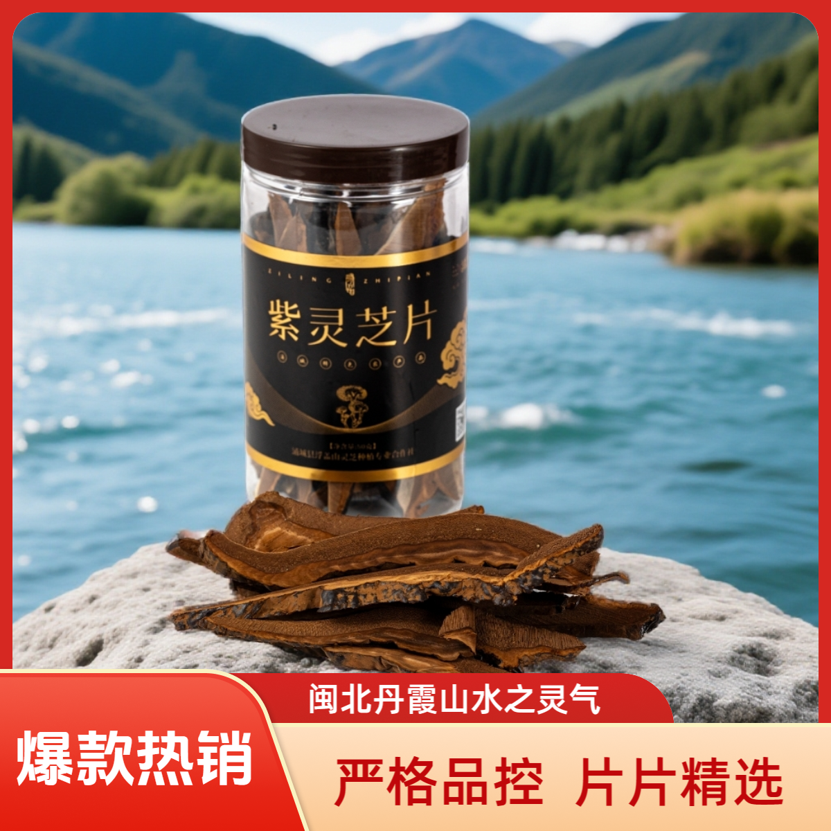 浦芝韵紫灵芝片正品煮茶煲汤养生茶送长辈节日送礼春节礼物50g