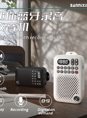 迷你蓝牙音响小型便携式插音箱音乐播放器老人用音机随身听支持TF